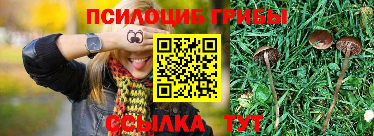 Псилоцибиновые грибы прущие грибы  Вход с VPN  Псилоцибиновые грибы Magic Shrooms  купить  цена  Каспийск 