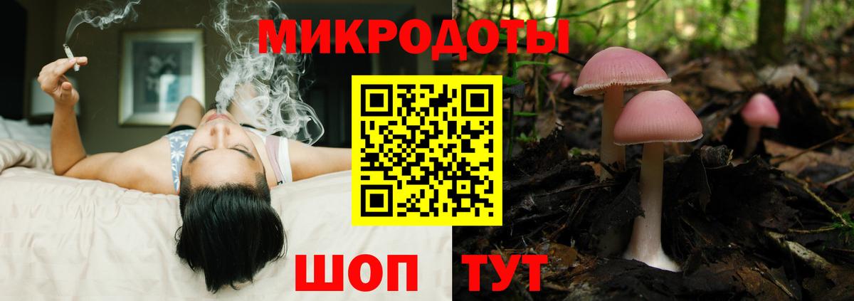 Псилоцибиновые грибы мицелий Каспийск